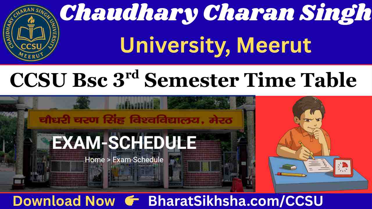 CCSU Bsc 3rd Semester Time Table